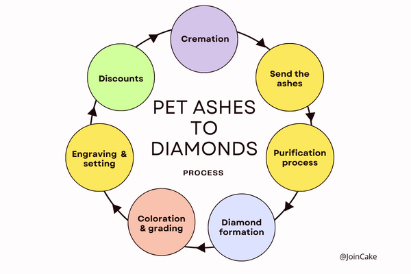 Process of Turning Pet Ashes Into Memorial Diamonds